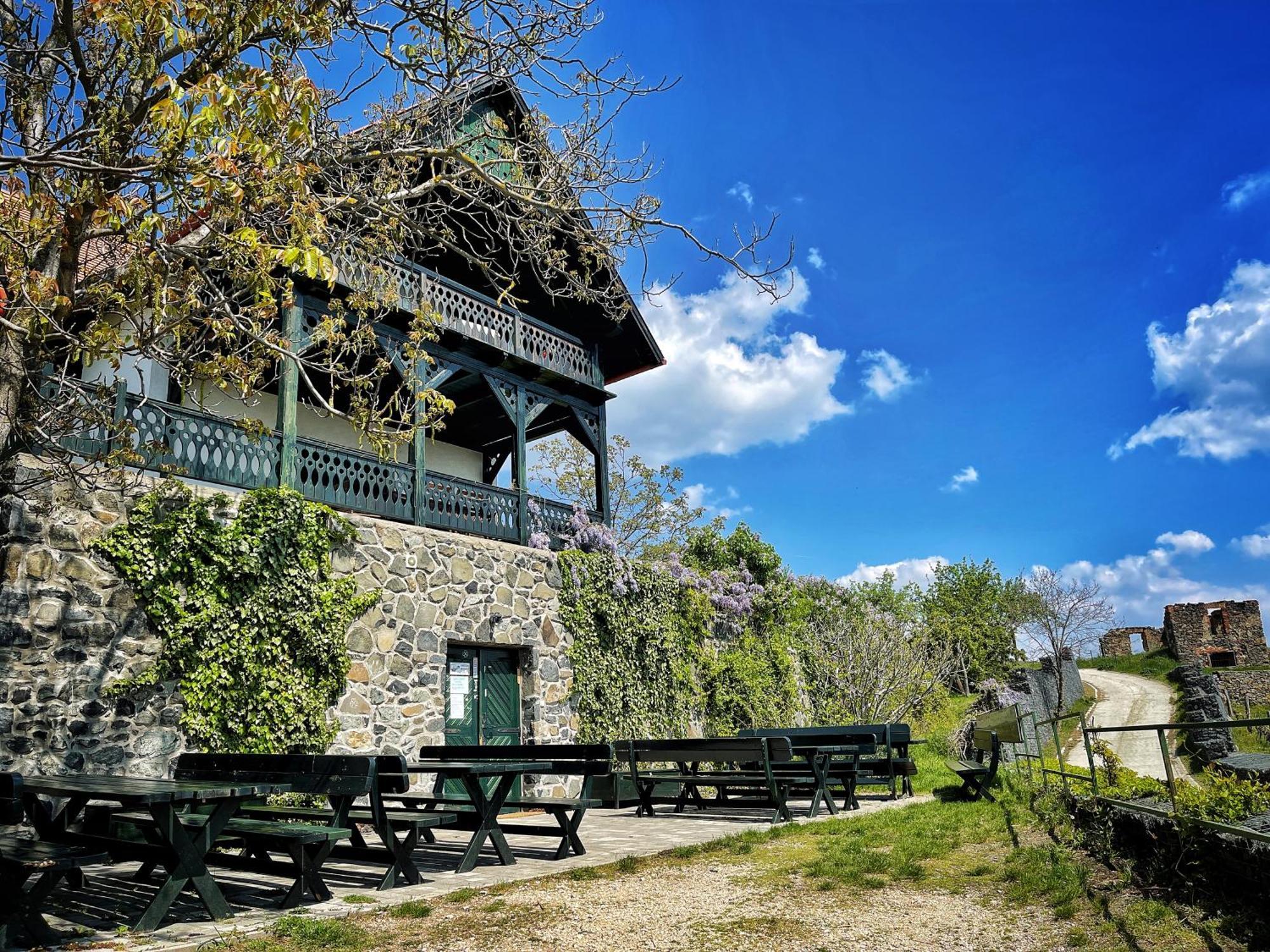 Somlo Wineshop Guesthouse Somlovasarhely Bagian luar foto