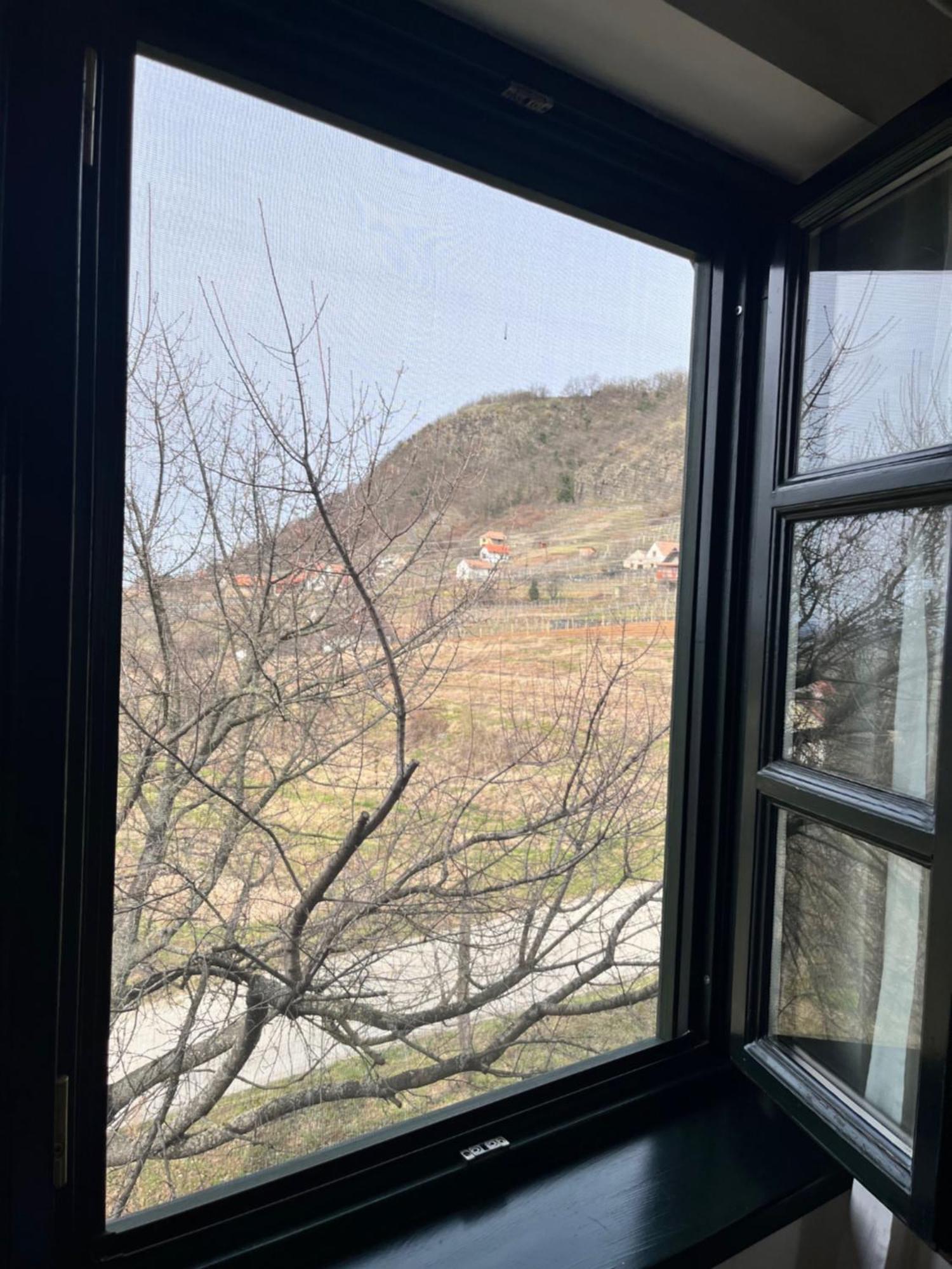 Somlo Wineshop Guesthouse Somlovasarhely Bagian luar foto