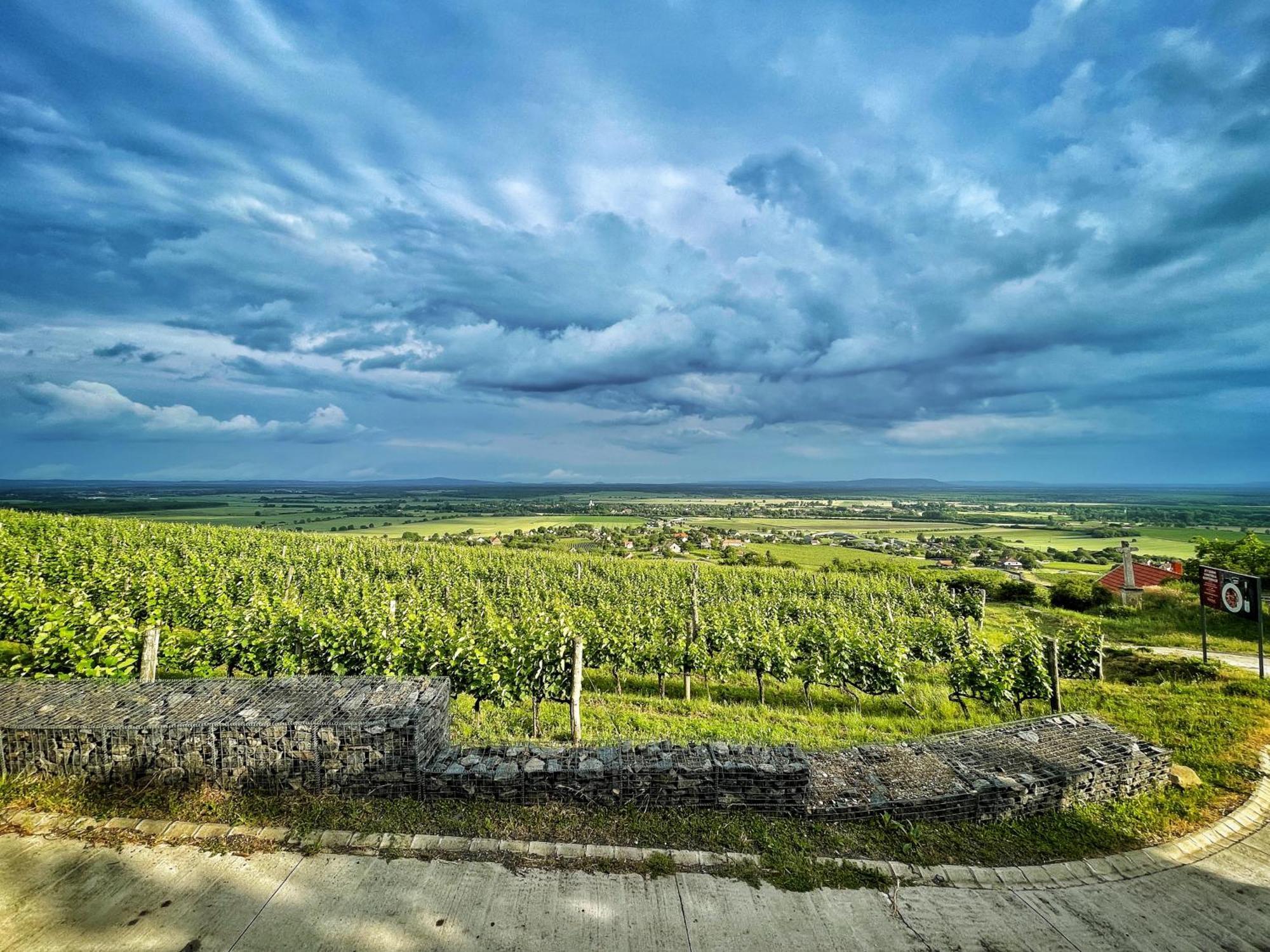 Somlo Wineshop Guesthouse Somlovasarhely Bagian luar foto