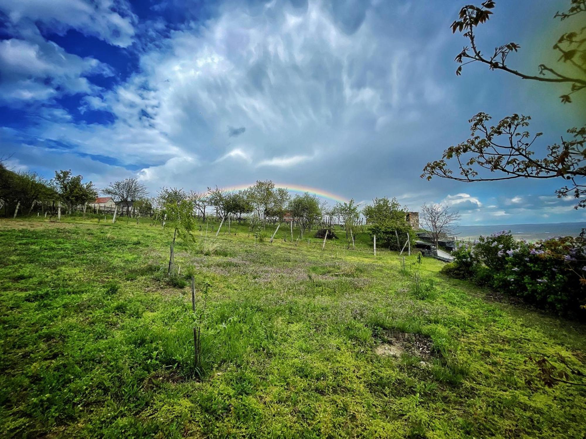 Somlo Wineshop Guesthouse Somlovasarhely Bagian luar foto