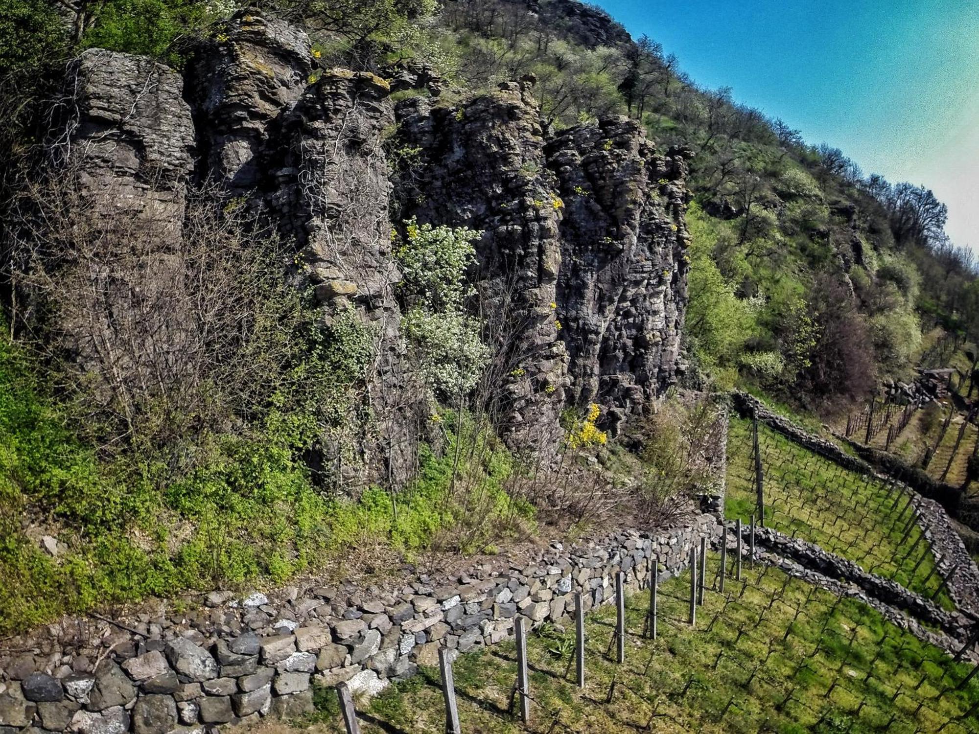 Somlo Wineshop Guesthouse Somlovasarhely Bagian luar foto