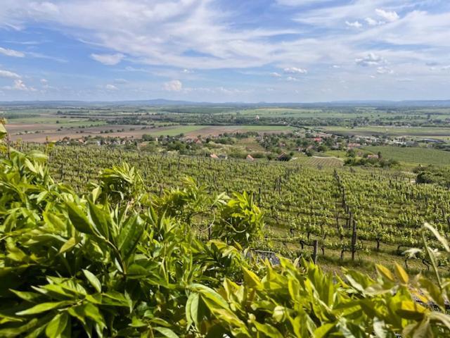 Somlo Wineshop Guesthouse Somlovasarhely Bagian luar foto