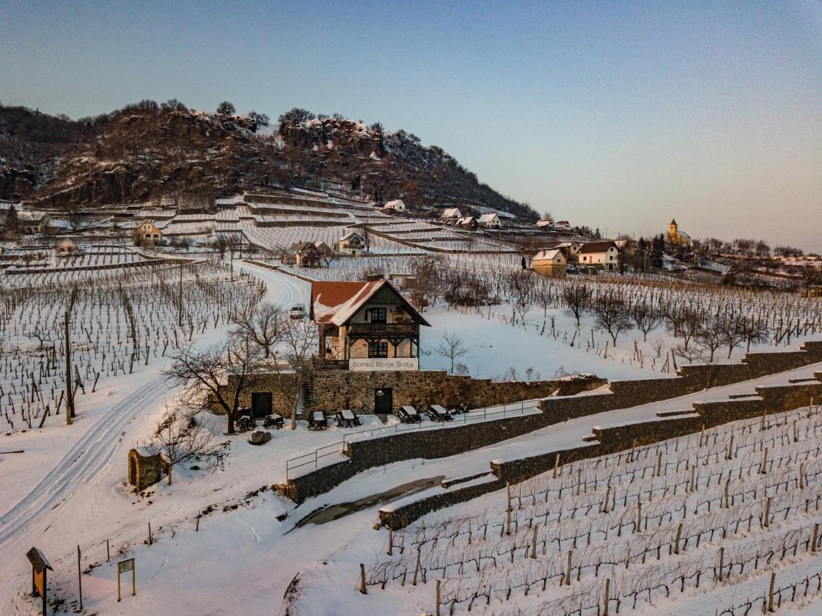 Somlo Wineshop Guesthouse Somlovasarhely Bagian luar foto